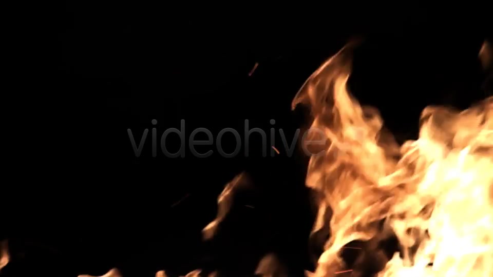 Fire  Videohive 7615247 Stock Footage Image 7
