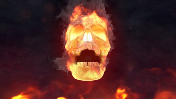 Fire Skull Logo Reveal - 24509656 Videohive Download
