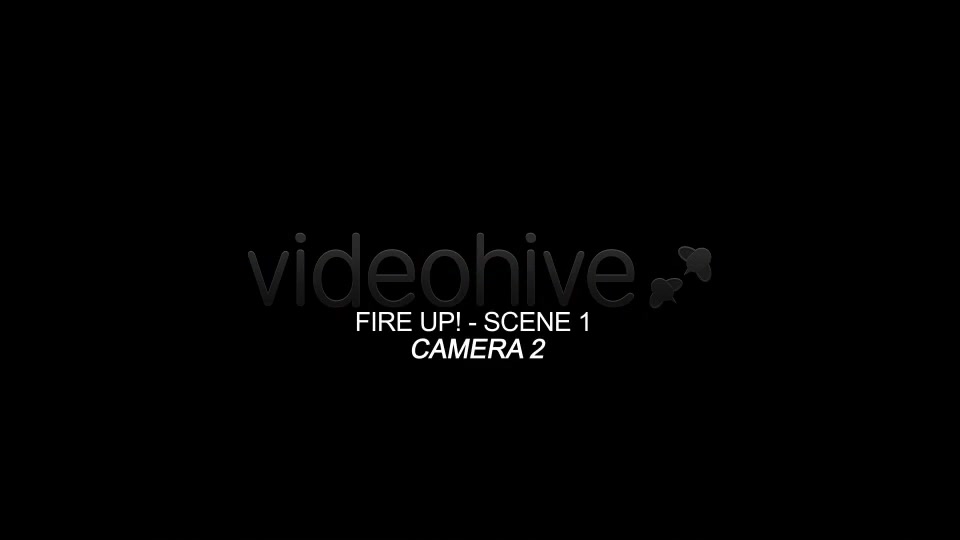 Fire Up - Download Videohive 4125786