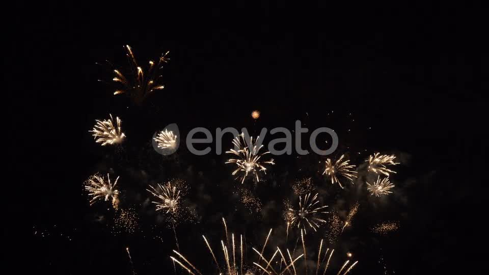 Firework Celebration  Videohive 29129334 Stock Footage Image 1