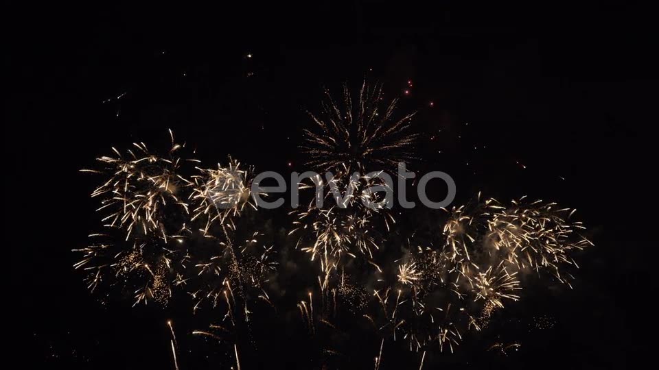 Firework Celebration  Videohive 29129334 Stock Footage Image 2