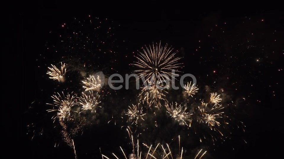 Firework Celebration  Videohive 29129334 Stock Footage Image 8