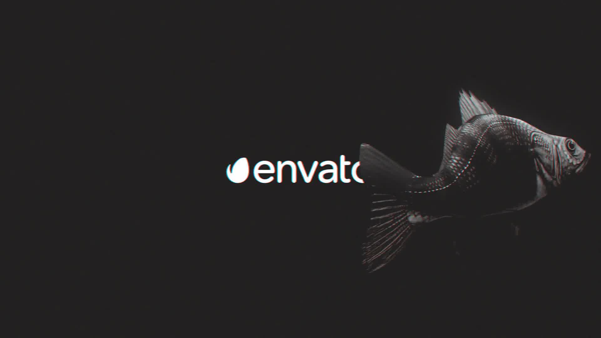 Fish Glitch Logo Reveal Videohive 21230482 After Effects Image 8