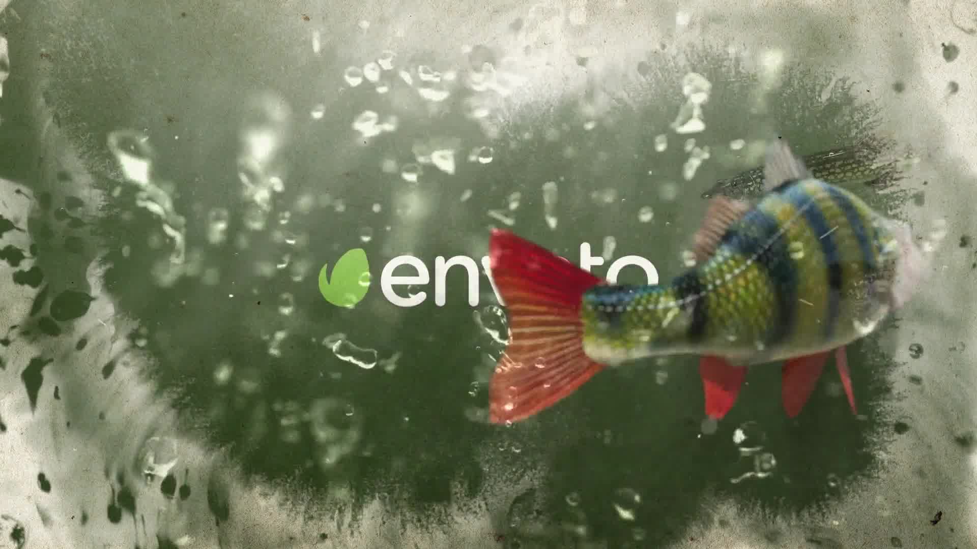 Fish Logo Reveal Template Videohive 34195788 Premiere Pro Image 8