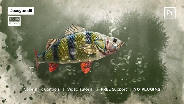 Fish Logo Reveal Template - Videohive Download 34195788