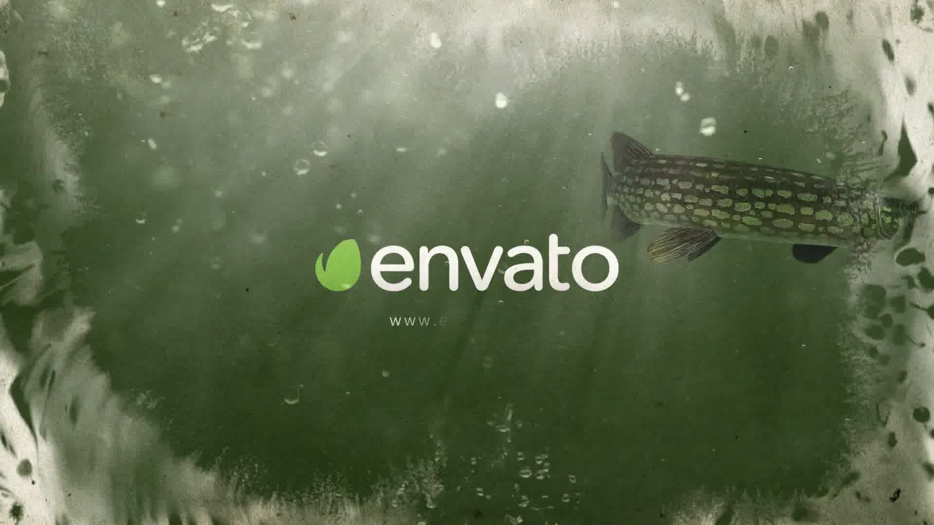 Fish Logo Reveal Videohive 21918956 After Effects Image 10