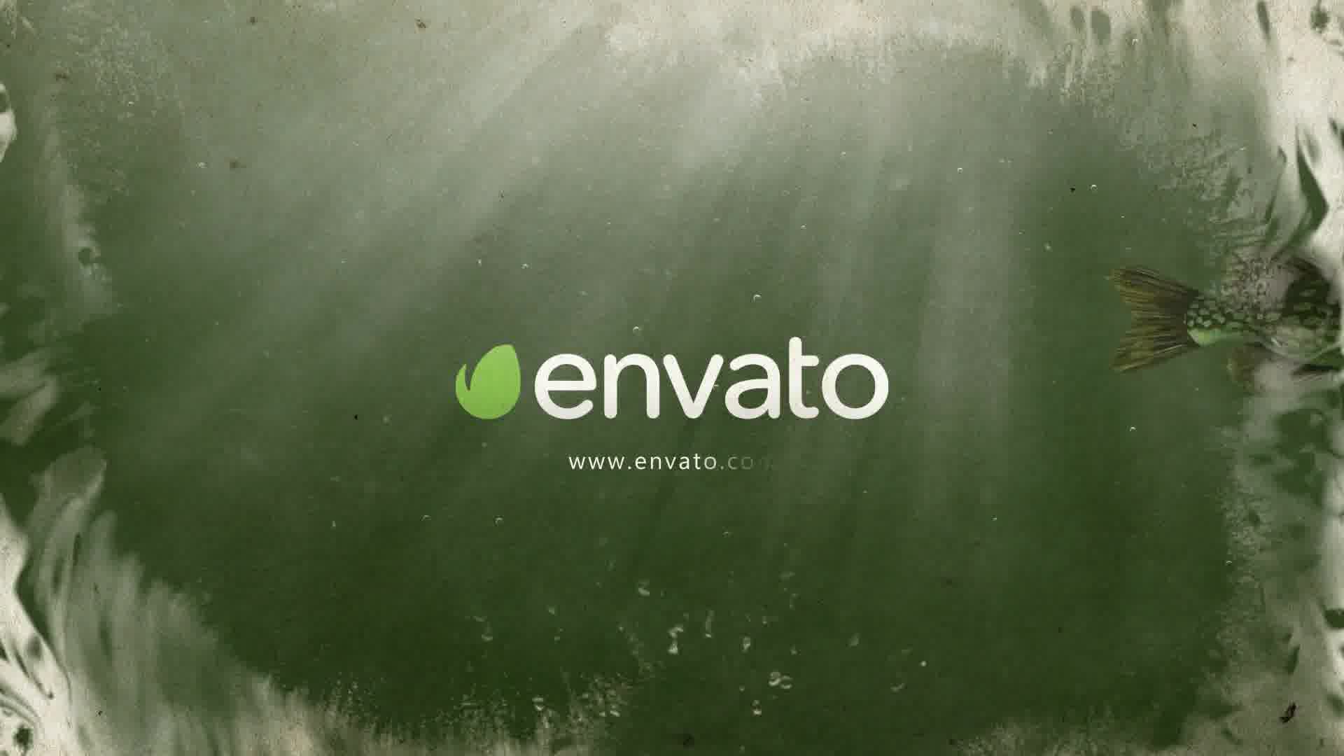 Fish Logo Reveal Videohive 21918956 After Effects Image 11