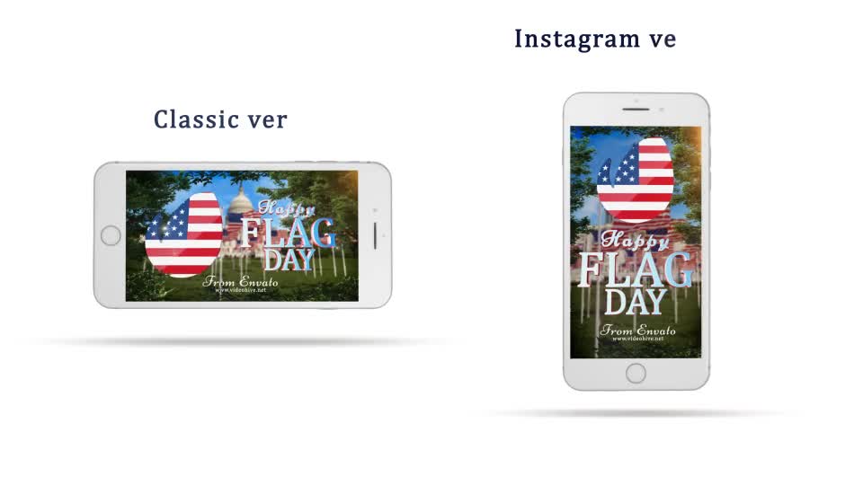 Flag Day Logo Videohive 22093419 After Effects Image 1