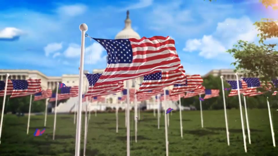 Flag Day Logo Videohive 22093419 After Effects Image 3