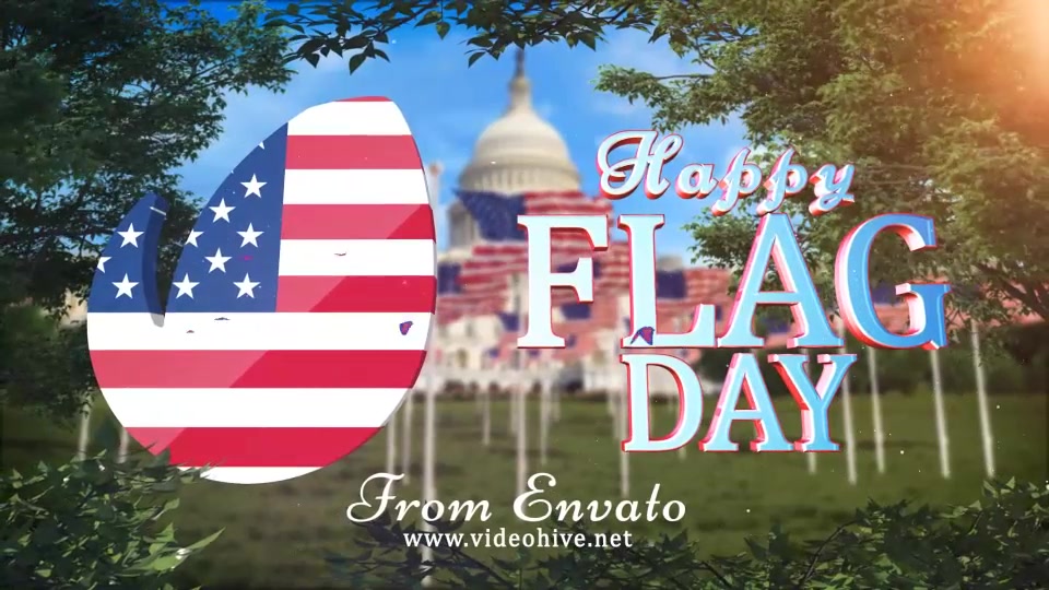 Flag Day Logo Videohive 22093419 After Effects Image 4