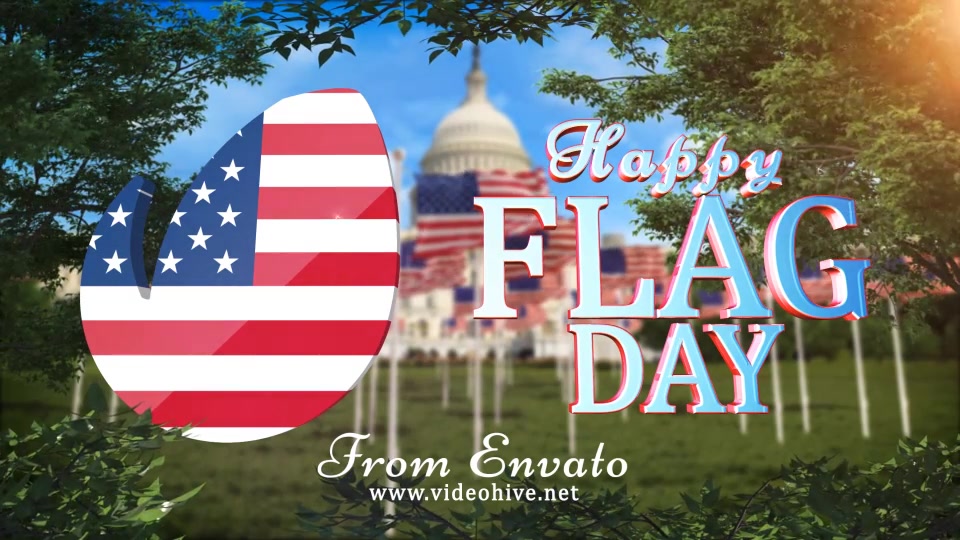 Flag Day Logo Videohive 22093419 After Effects Image 5