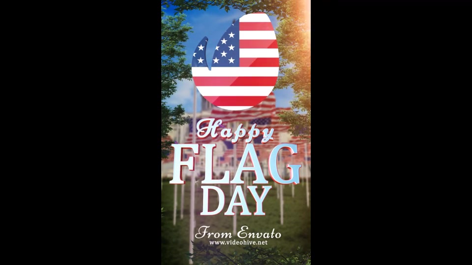 Flag Day Logo Videohive 22093419 After Effects Image 8