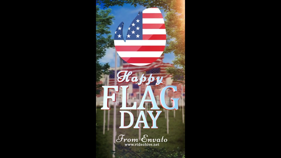 Flag Day Logo Videohive 22093419 After Effects Image 9