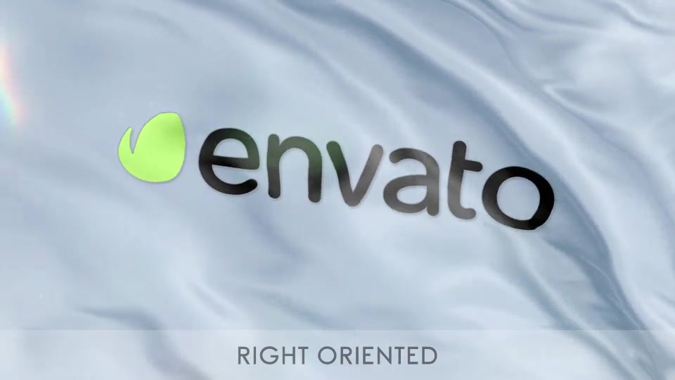 Flag Logo Reveal Videohive 12443629 After Effects Image 2