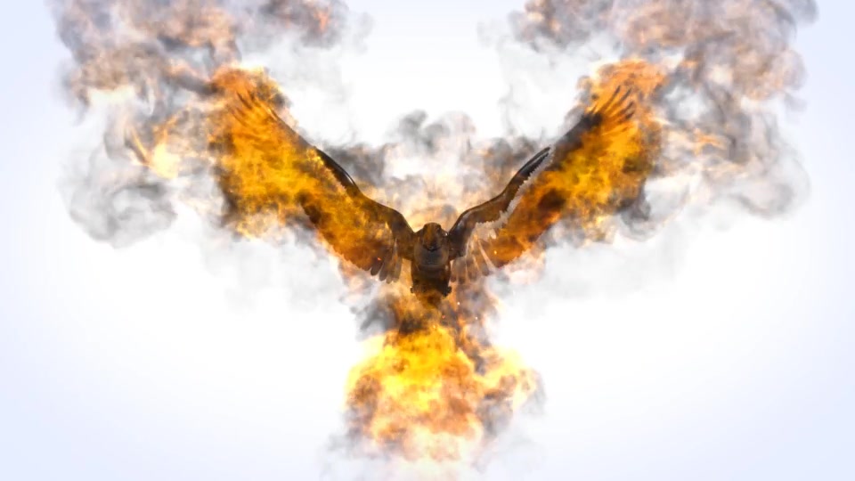 Flaming Eagle Logo Reveal Videohive 31914514 After Effects Image 3
