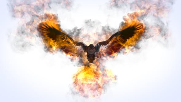 Flaming Eagle Logo Reveal - Download Videohive 31914514