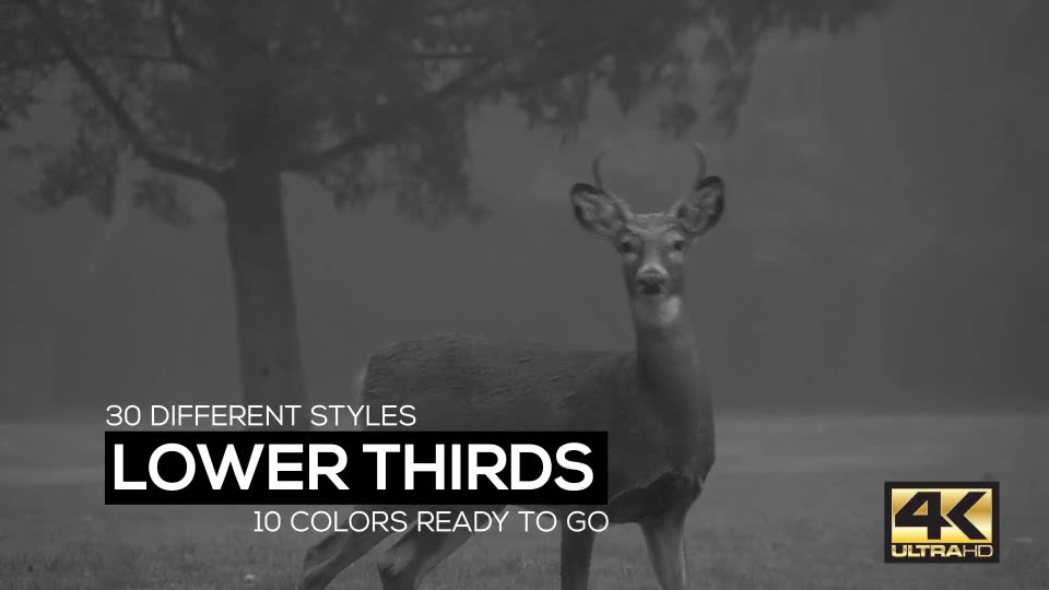 Flat Dynamic Lower Thirds Pack - Download Videohive 15305568