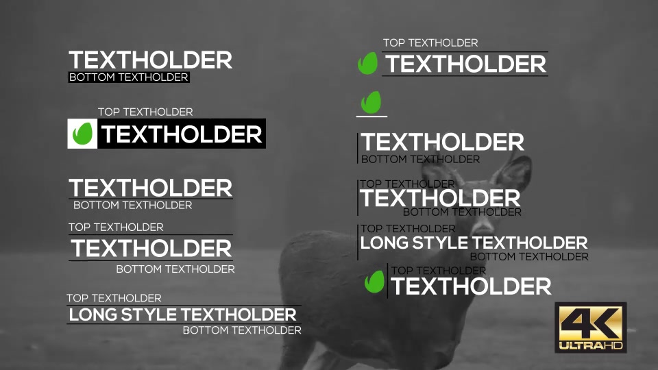 Flat Dynamic Lower Thirds Pack - Download Videohive 15305568