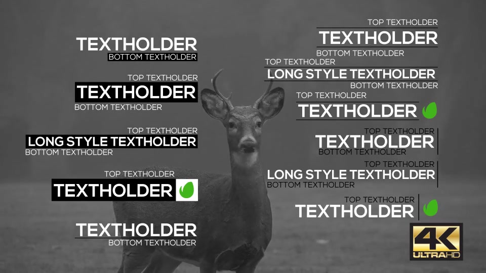 Flat Dynamic Lower Thirds Pack - Download Videohive 15305568