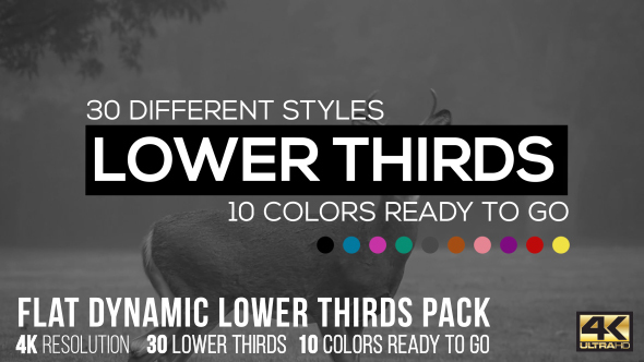 Flat Dynamic Lower Thirds Pack - Download Videohive 15305568