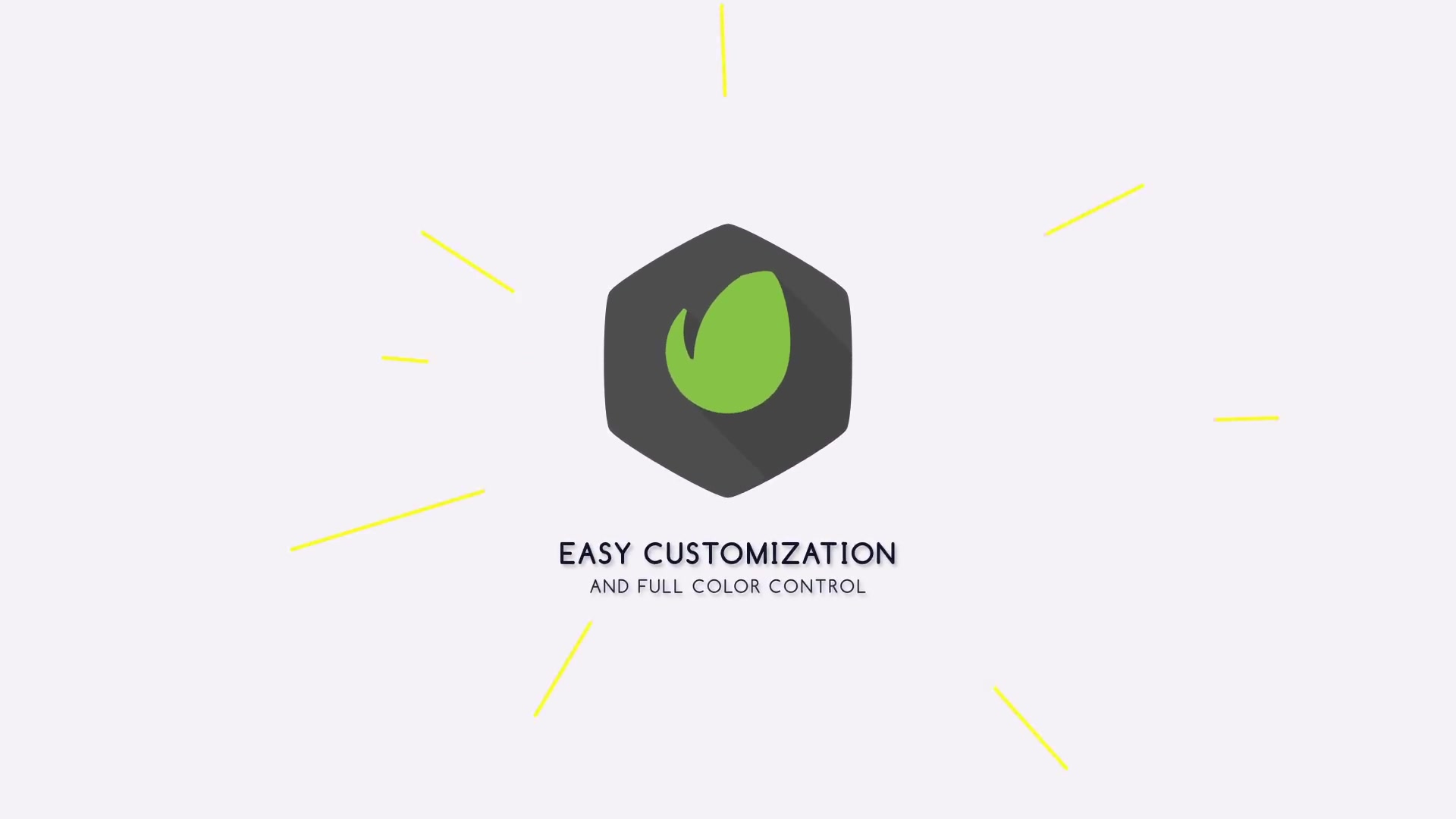 Flat Logo Animation - Download Videohive 20243508