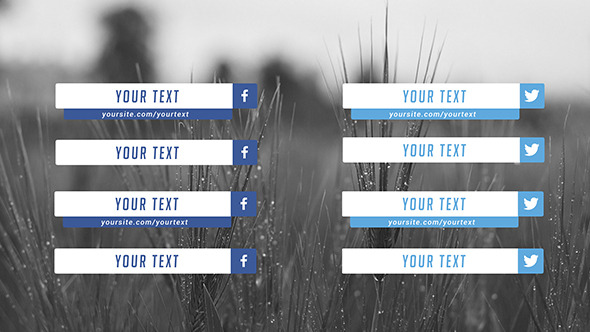 Flat Social Media Lower Thirds - Download Videohive 8560523