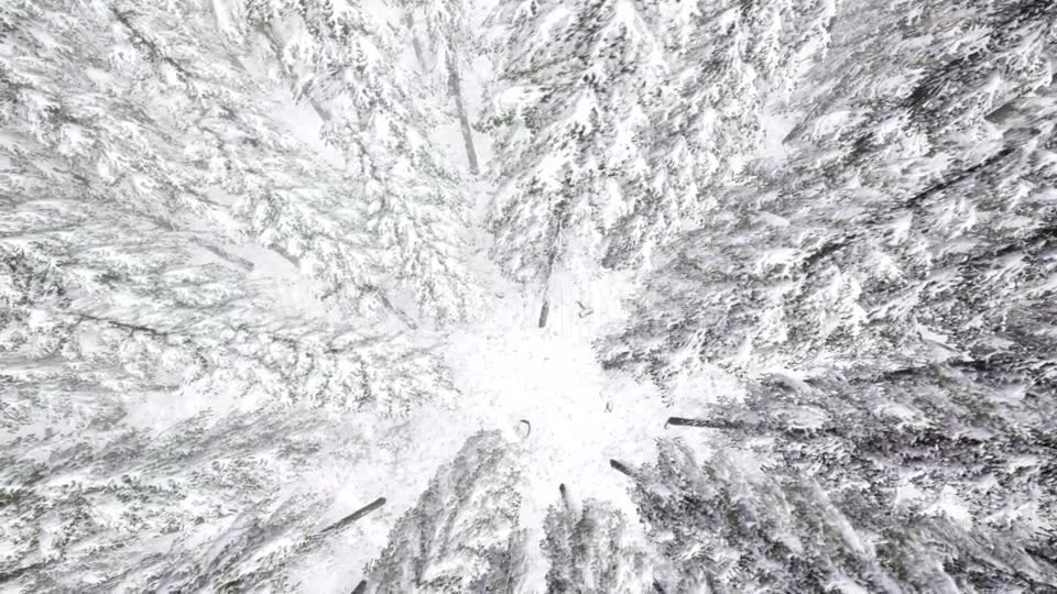 Flight Above Winter Forest - Download Videohive 20967386