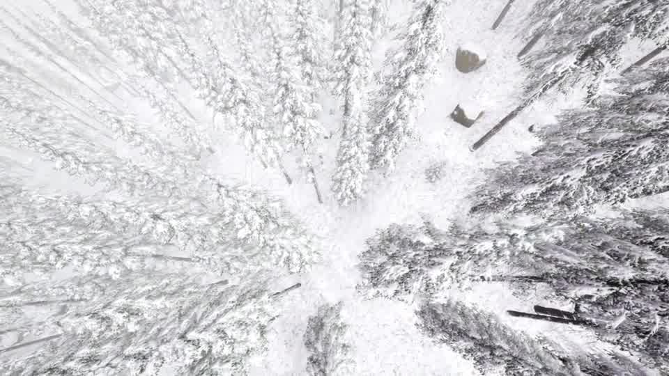 Flight Above Winter Forest - Download Videohive 20967386