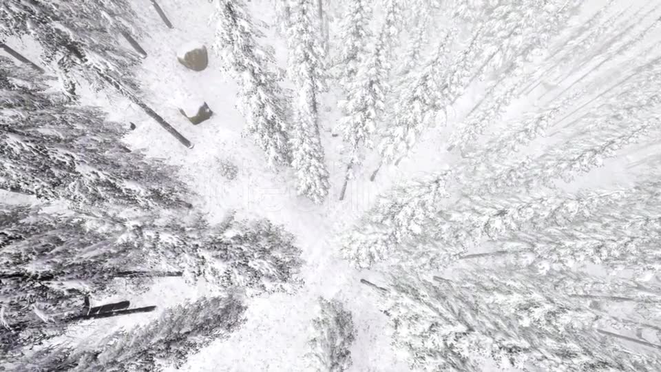 Flight Above Winter Forest - Download Videohive 21264311