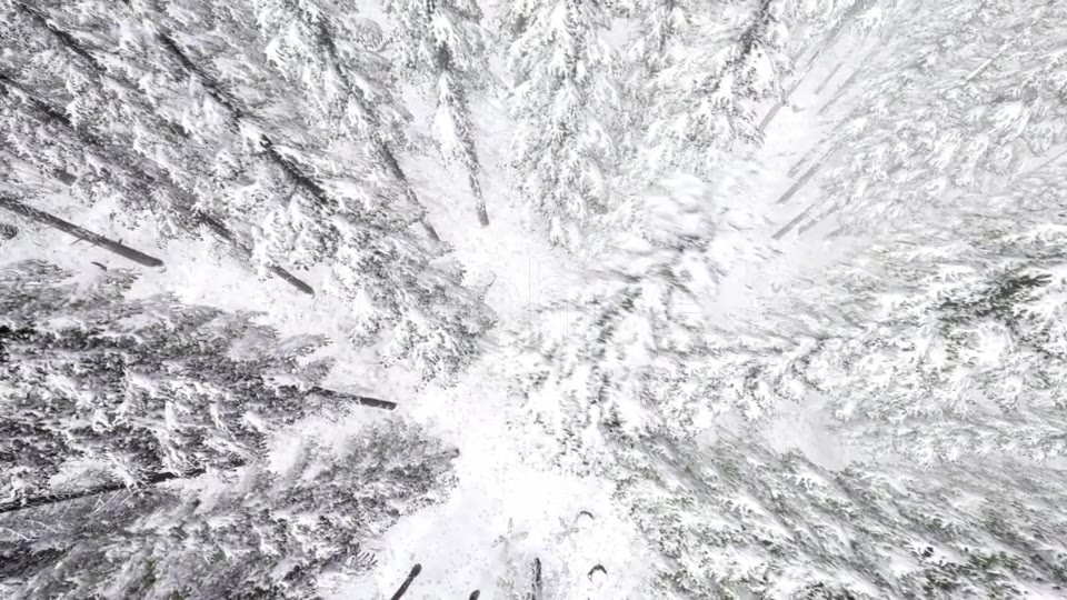 Flight Above Winter Forest - Download Videohive 21264311