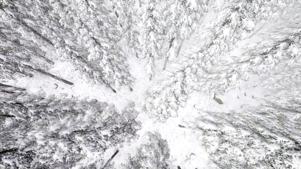 Flight Above Winter Forest - Download Videohive 21264311