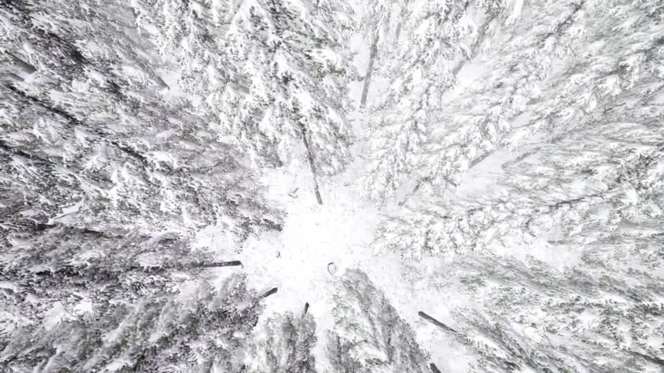 Flight Above Winter Forest - Download Videohive 21264311