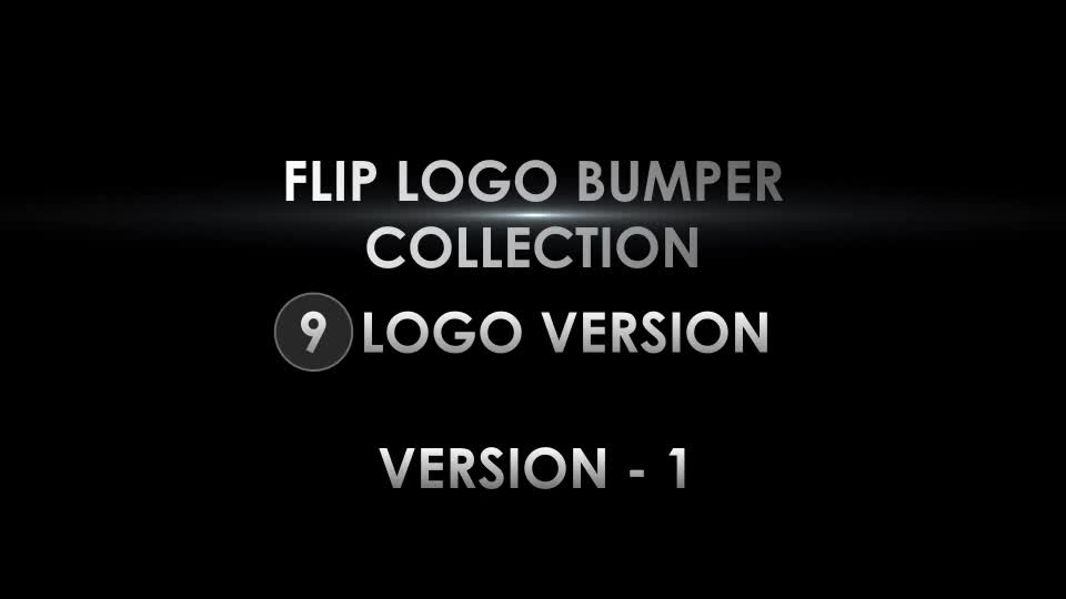 Flip Logo Bumper - Download Videohive 7296548