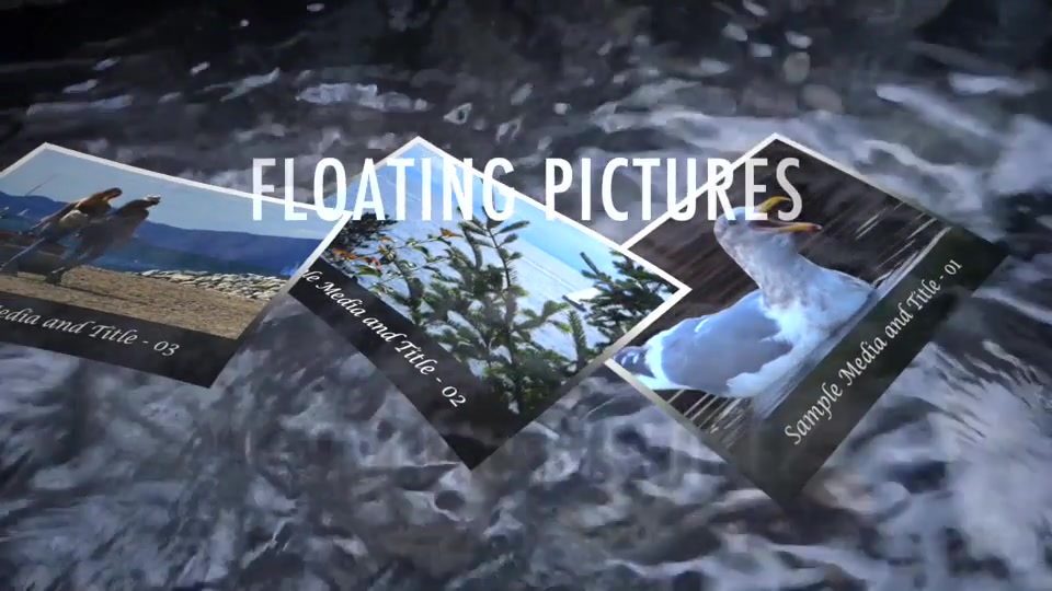 Floating Pictures Videohive 14662860 Apple Motion Image 3