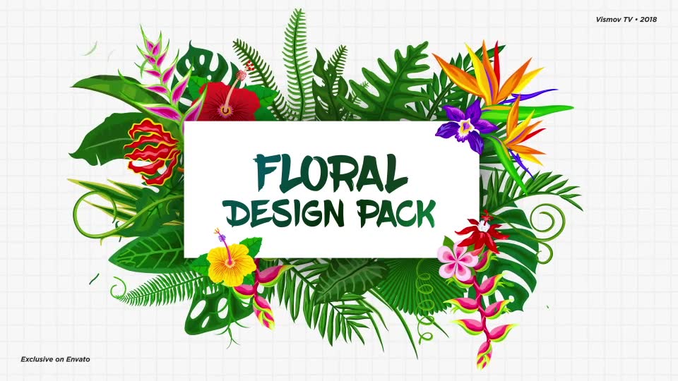 Floral Design Pack Videohive 22778532 After Effects Image 2