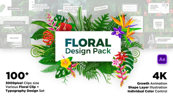 Floral Design Pack - 22778532 Download Videohive