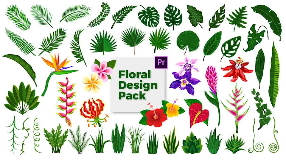 Floral Design Pack Videohive 29777274 Premiere Pro Image 1