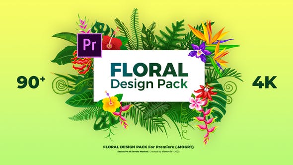 Floral Design Pack - Download 29777274 Videohive