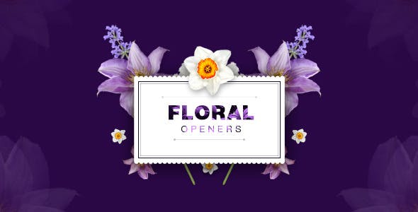 Floral Openers/ Live Flovers Wedding Titles/ Love Memories/ Spring Mood/ Beauty Bloggers Instagram - Videohive 10520723 Download