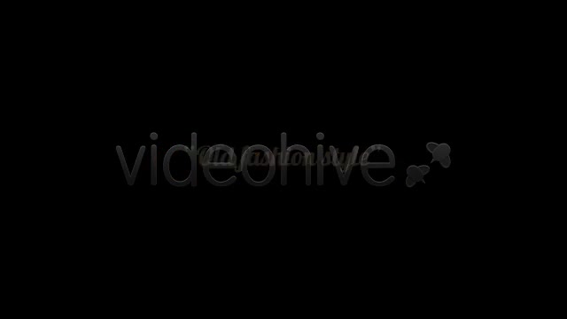 Flourish Logo Reveal - Download Videohive 5294186