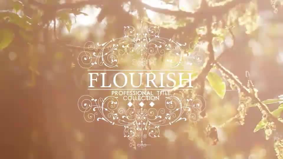 Flourish Titles Collection - Download Videohive 7636342