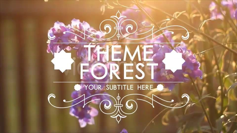 Flourish Titles Collection - Download Videohive 7636342