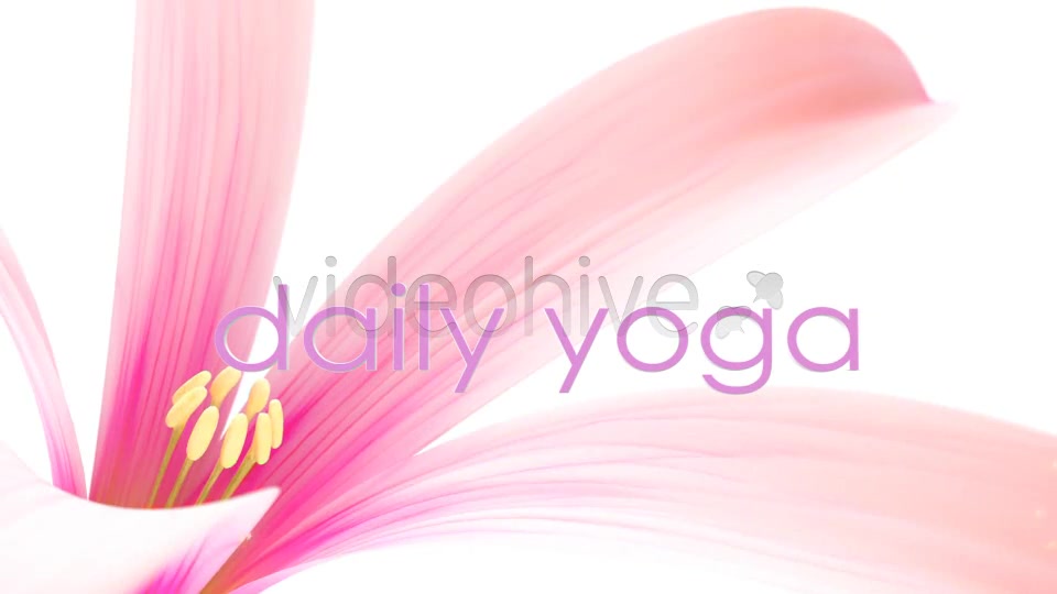 Flower Bloom Logo Videohive 5909787 After Effects Image 3