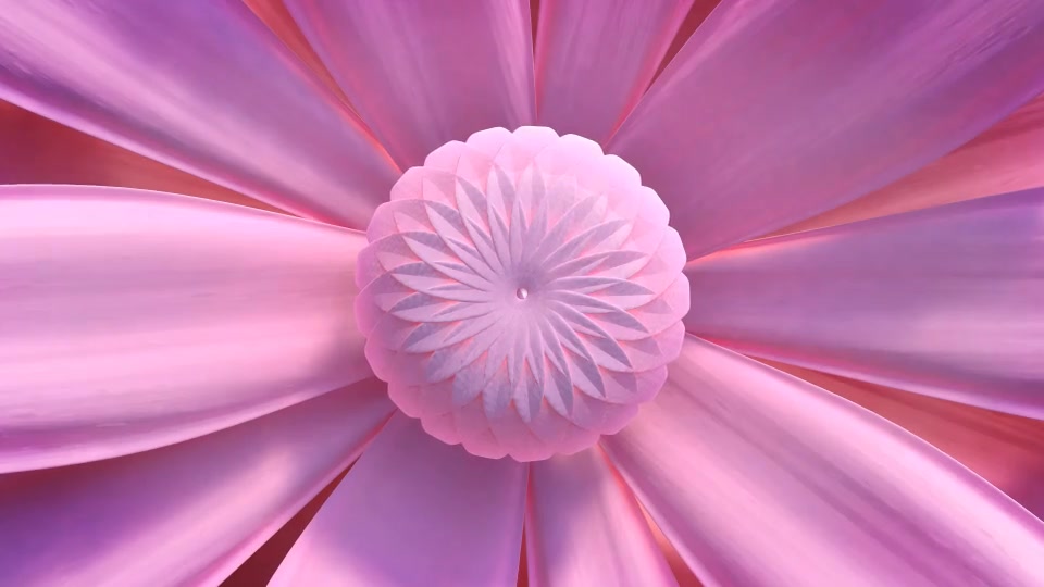 Flower Elegant Logo Reveal - Download Videohive 15224562
