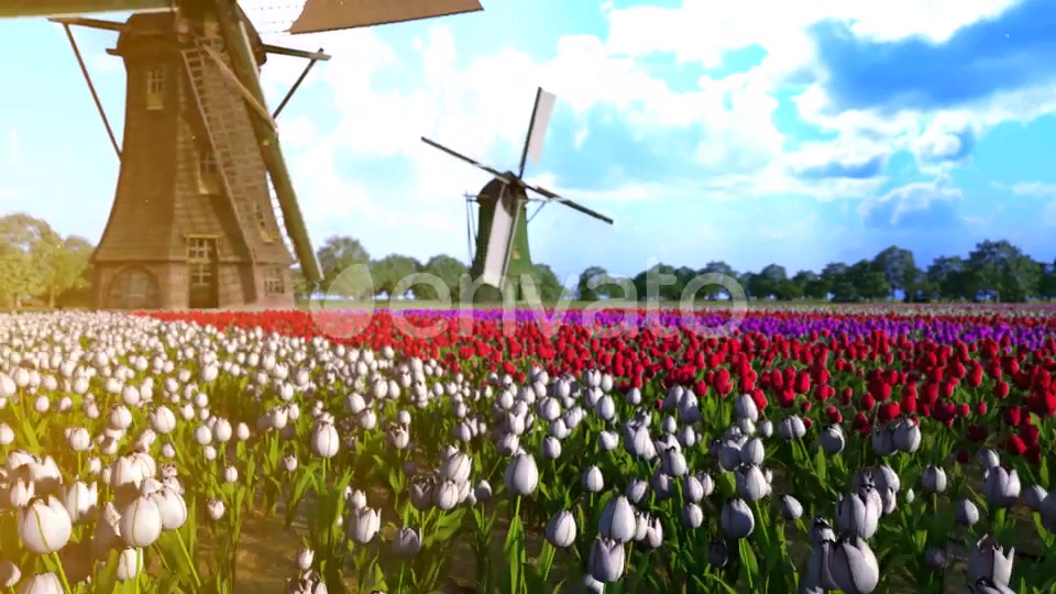 Flower Field Videohive 30180636 After Effects Image 4
