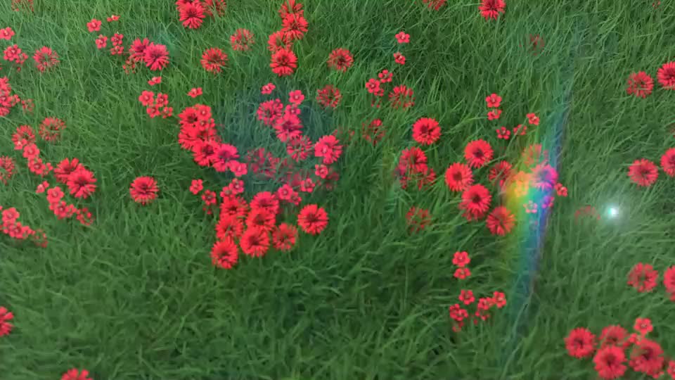 flower field logo reveal Videohive 28767967 After Effects Image 1