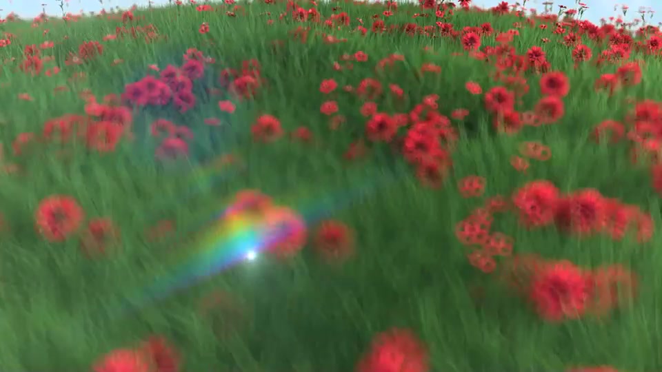 flower field logo reveal Videohive 28767967 After Effects Image 3