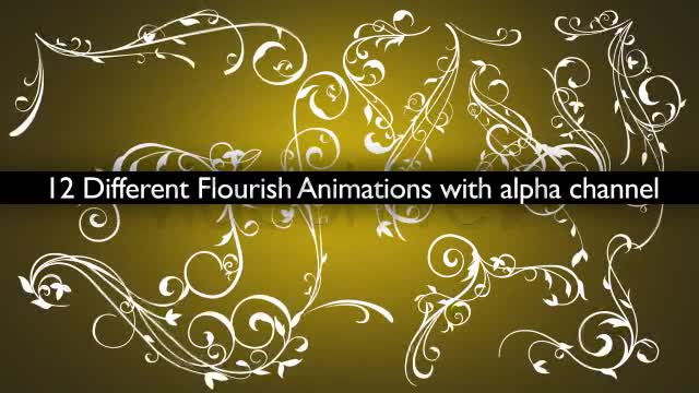 Flower Flourish Growing 12 Styles With Alpha - Download Videohive 4013351