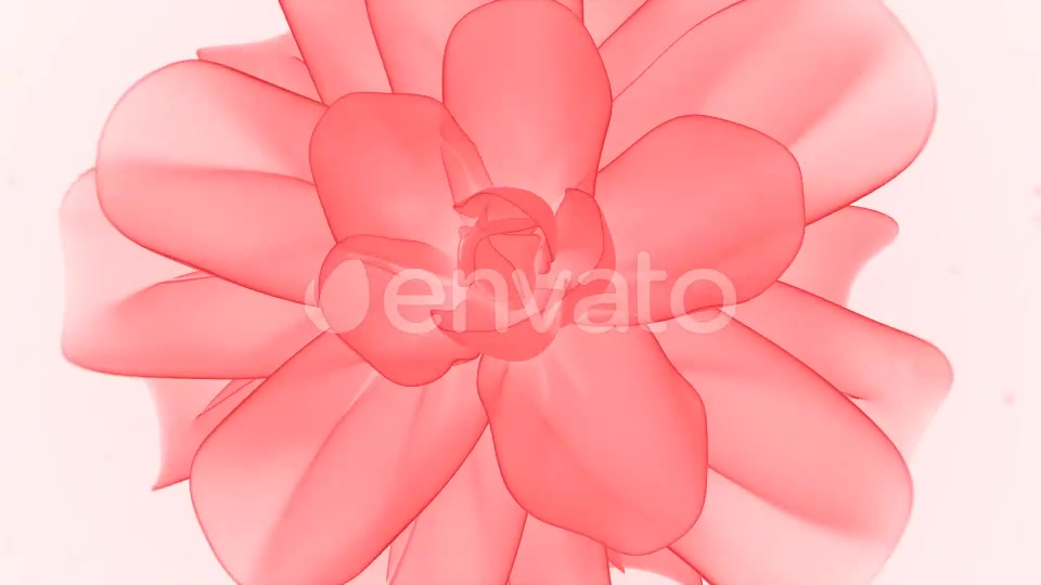 Flower Logo Reveal Videohive 28161360 After Effects Image 10