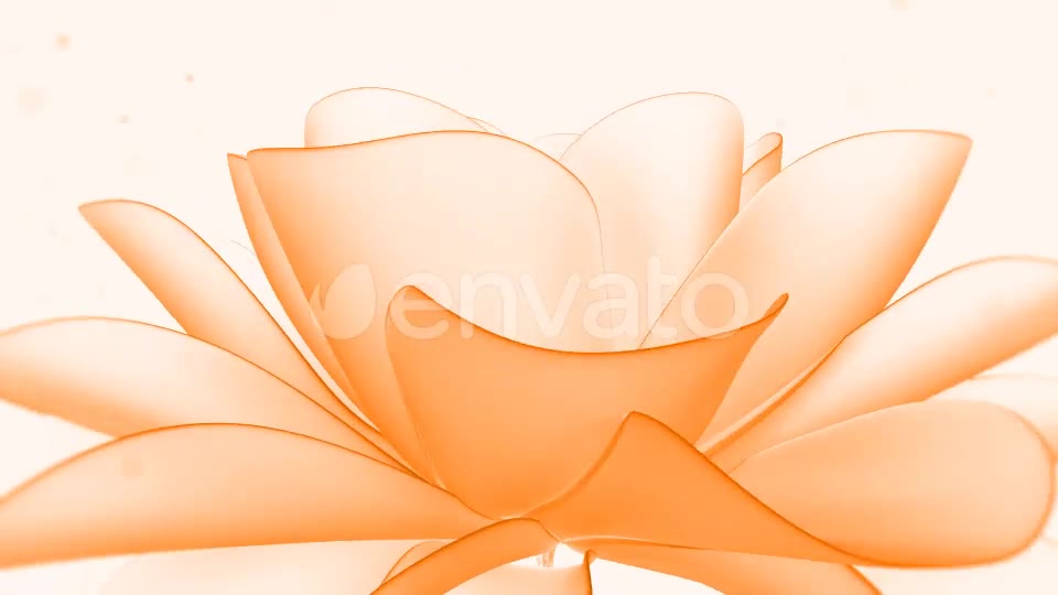 Flower Logo Reveal Videohive 28161360 After Effects Image 2